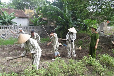 Hành trình cảm hóa cái ác