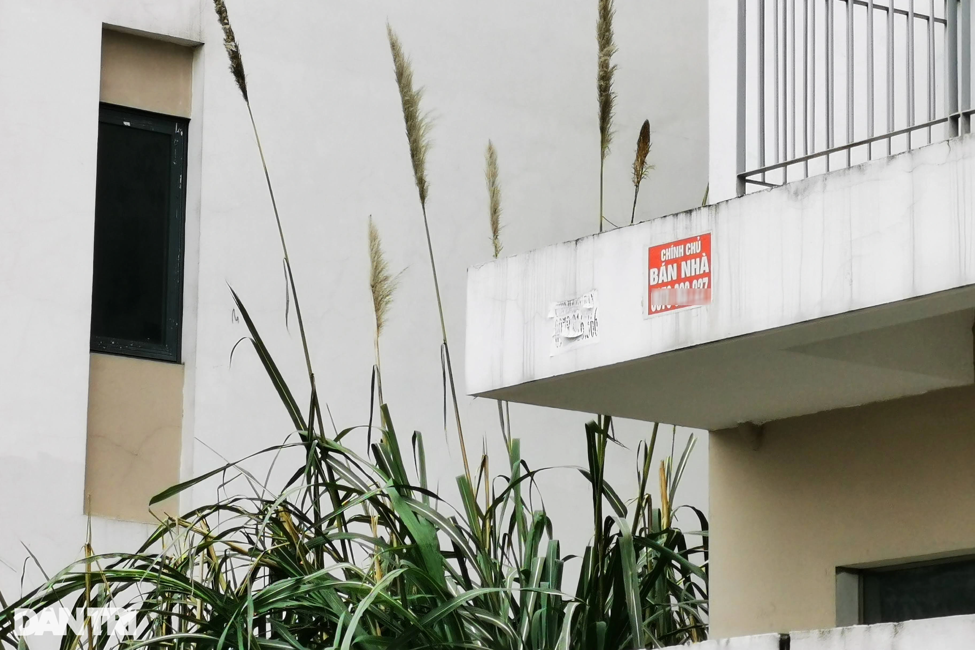 Tăng giá điên cuồng, hàng loạt biệt thự triệu đô vẫn vắng bóng người ở - 5 Tăng giá điên cuồng, hàng loạt biệt thự triệu đô vẫn vắng bóng người ở - 5