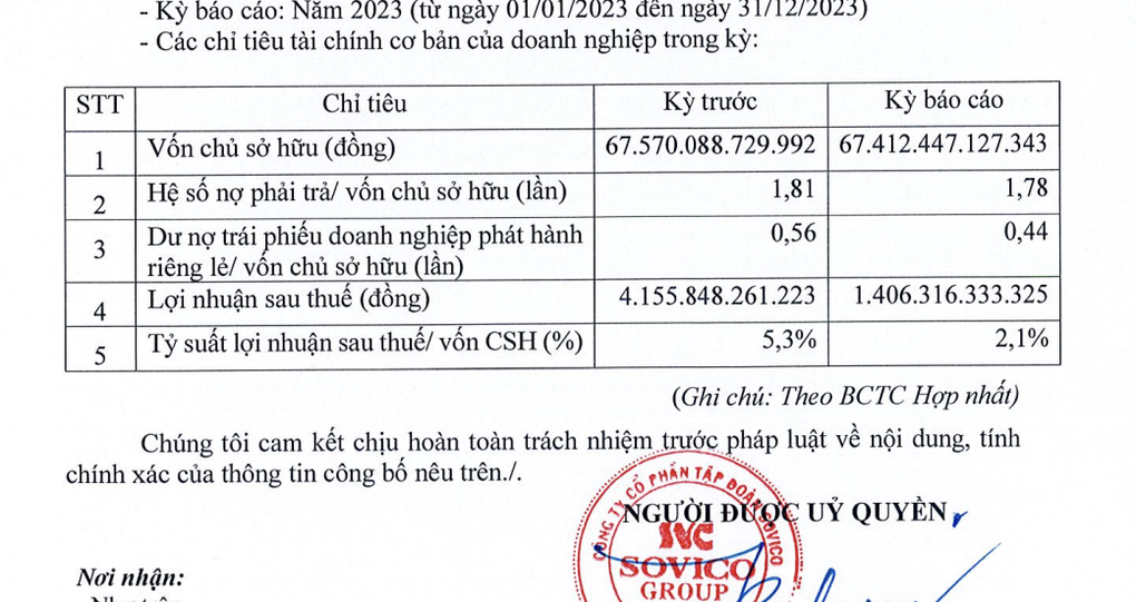 Bất ngờ về quy mô tập đoàn Sovico của tỷ phú Nguyễn Thị Phương Thảo - 1