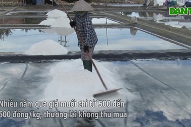 Mặn chát nghề muối ở Sa Huỳnh