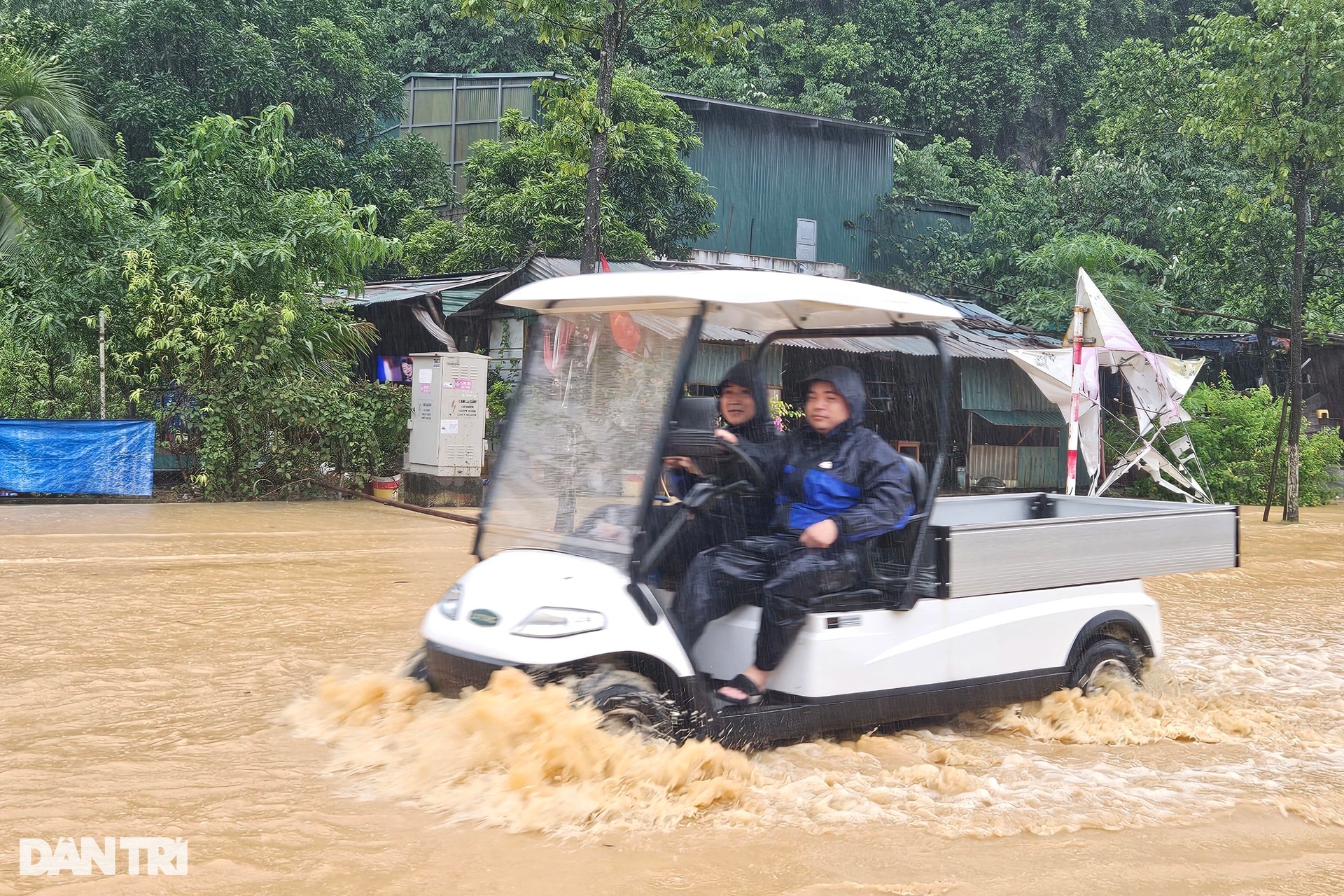 View - Trees uprooted as Storm Prapiroon sweeps through Quang Ninh | DTiNews - Dan Tri International, the news gateway of Vietnam