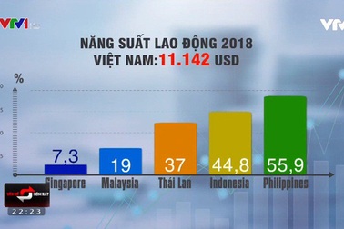 Tại sao năng suất lao động của Việt Nam còn thấp?