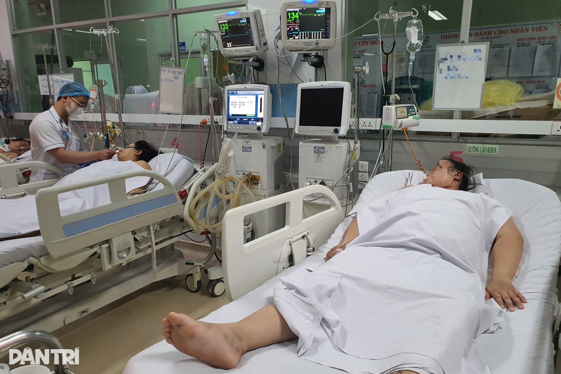 Hàng loạt người lớn, trẻ em ở TPHCM nhập viện vì đe dọa sốc sốt xuất huyết - 11 Hàng loạt người lớn, trẻ em ở TPHCM nhập viện vì đe dọa sốc sốt xuất huyết - 11