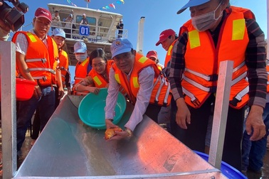 Thả gần 19 tấn cá giống xuống sông tái tạo nguồn lợi thủy sản