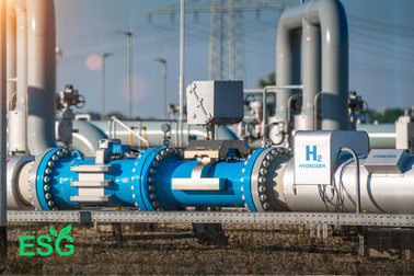 Hydro được sản xuất và phân loại thế nào?