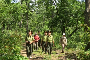 Lo ngại trước dự án phá vùng lõi vườn quốc gia Yok Đôn làm thủy điện