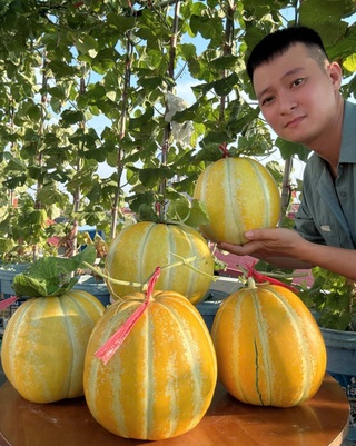 Chàng trai Hải Phòng nuôi gà, làm vườn trĩu quả trên sân thượng nhà phố - 8