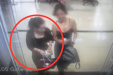 Khách bay quên ví ở Nội Bài, tìm thấy ở Tân Sơn Nhất