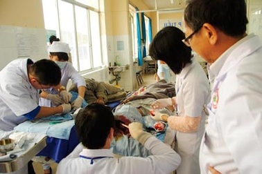 Đà Lạt: Thông gãy trong bệnh viện, 4 người bị thương