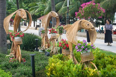 Cá chuồn đạp xe, bạch tuộc mây tre xuất hiện tại đường hoa biển Đà Nẵng