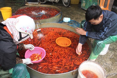 Cá chép cúng ông Công ông Táo được giá, người buôn lãi đậm