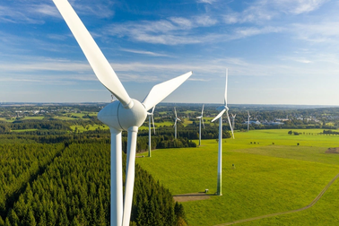 Agribank rao bán nợ công ty tuabin điện gió, giá khởi điểm 1.649 tỷ đồng