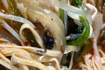 Trung Quốc: Lộ sự thật về cô gái 200 lần ăn phải ruồi, ốc vít ở nhà hàng