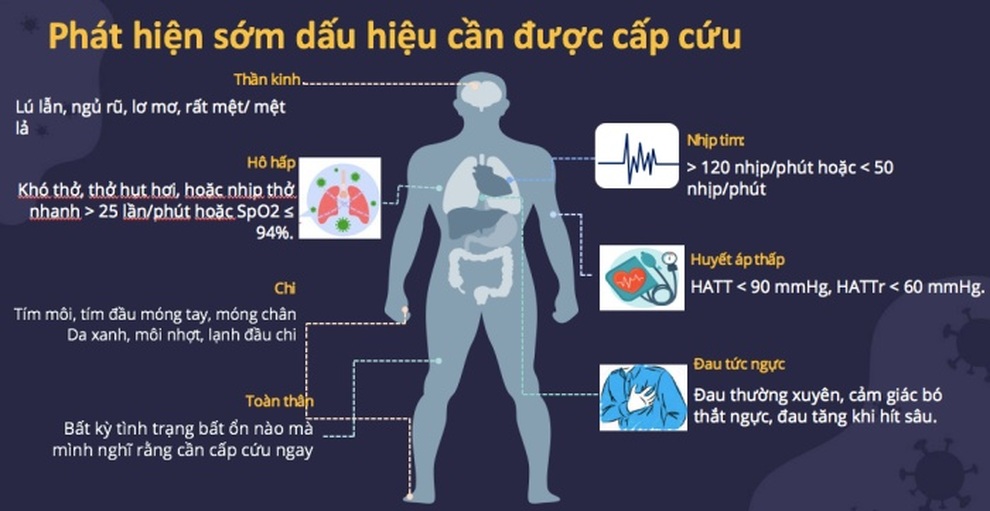 Những dấu hiệu sớm cảnh báo bệnh nhân Covid-19 cần được cấp cứu - 1 Những dấu hiệu sớm cảnh báo bệnh nhân Covid-19 cần được cấp cứu - 1