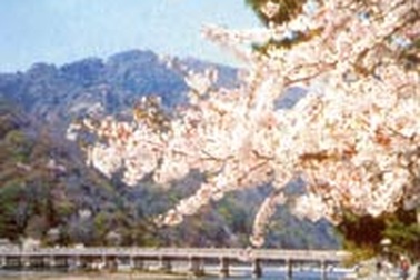 Tuyển sinh chương trình vừa học vừa làm tại Nhật Bản 