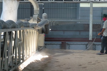 Lò sấy lúa "hốt" chục triệu mỗi ngày