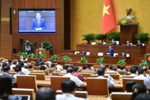 Việt Nam chưa có quốc hoa vì "không ai có thẩm quyền quyết"