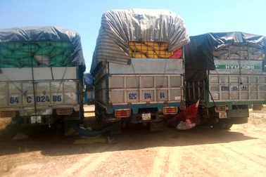 "Tóm" 12 xe quá tải trong 1 đêm tuần tra