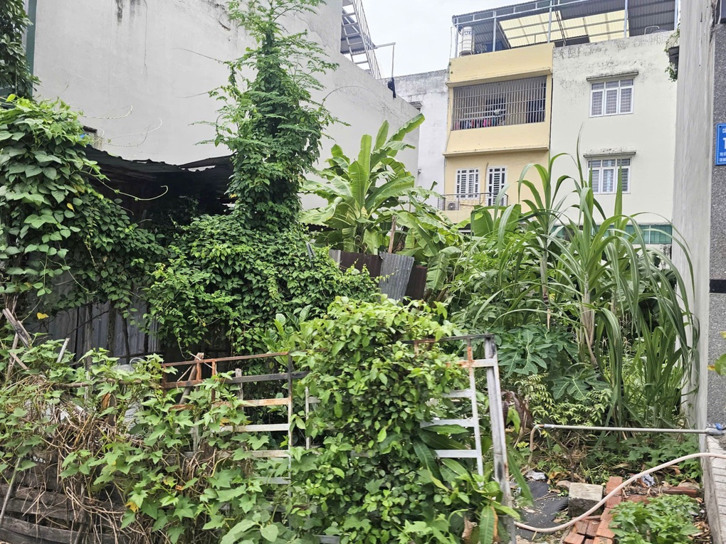 Đất bỏ hoang vào diện thu hồi, dữ liệu đất đai sẽ được số hóa đến 2027 - 1