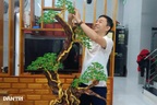Thầy giáo làm bonsai bất tử, kiếm 10 triệu đồng/tháng từ nghề tay trái