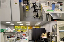 3 nghiên cứu sinh Việt bật mí những điều gặt hái được khi học tiến sĩ ở New Zealand