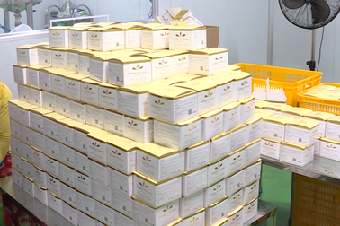 Bắt quả tang điểm sản xuất hàng ngàn hộp kem mỹ phẩm trái phép