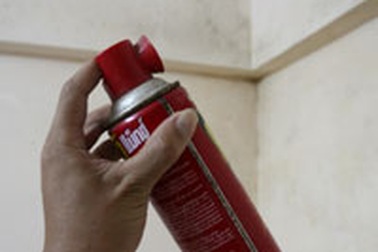 Ngộ độc vì dùng thuốc diệt muỗi 