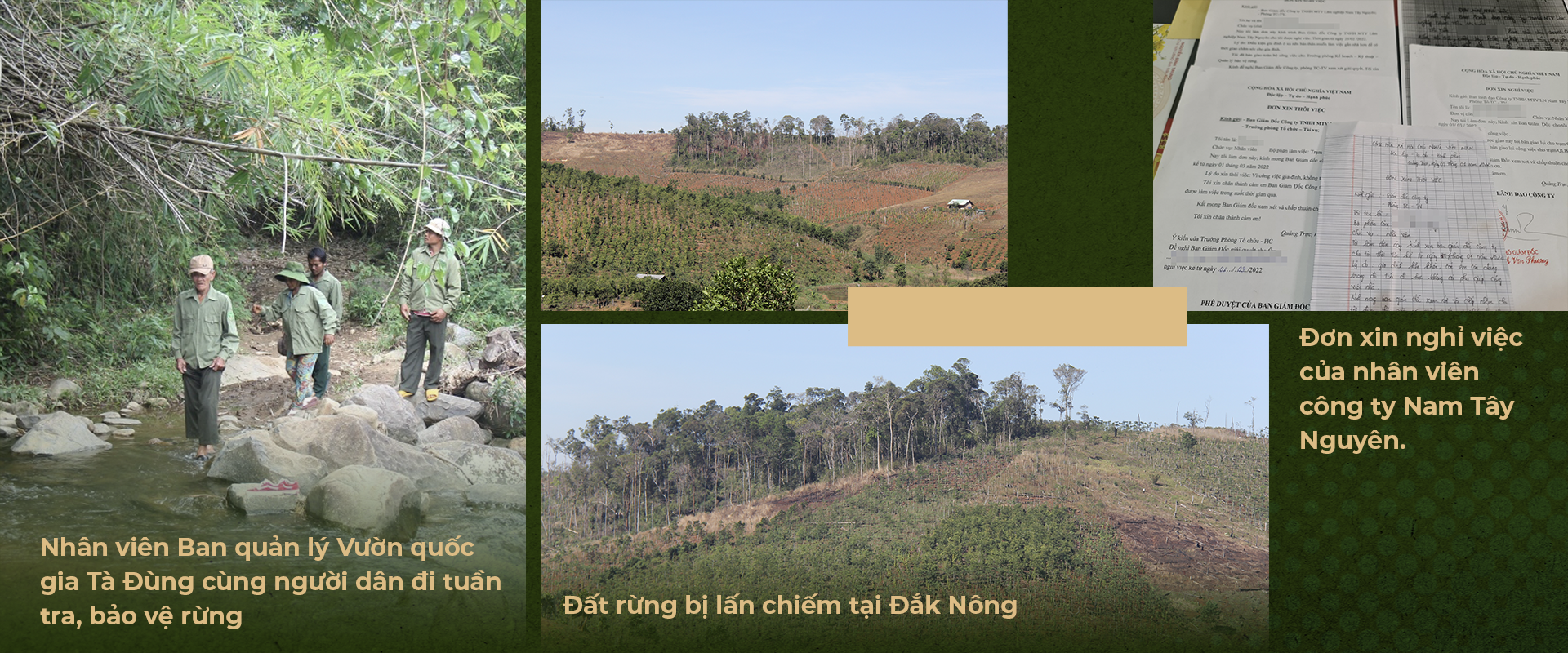 Giữ chân người rừng ở Tây Nguyên - 19 Giữ chân người rừng ở Tây Nguyên - 19