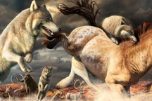 Loài sói đã vượt qua vụ tuyệt chủng hàng loạt cuối Kỷ băng hà như thế nào?