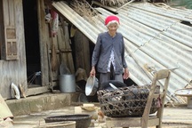 Đề nghị giãn nợ, khoanh nợ cho dân thiệt hại do lũ