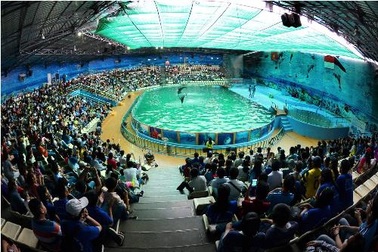 Nhiều hoạt động ý nghĩa tại Suối Tiên dịp Tết