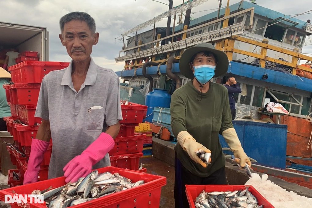 Ngư dân Ngư dân