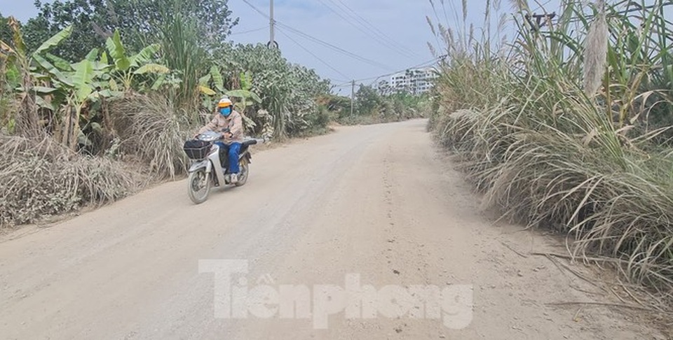 Biệt thự nuôi gà, trồng rau ngoại thành Hà Nội bất ngờ được thổi giá dựng ngược - 4 Biệt thự nuôi gà, trồng rau ngoại thành Hà Nội bất ngờ được thổi giá dựng ngược - 4