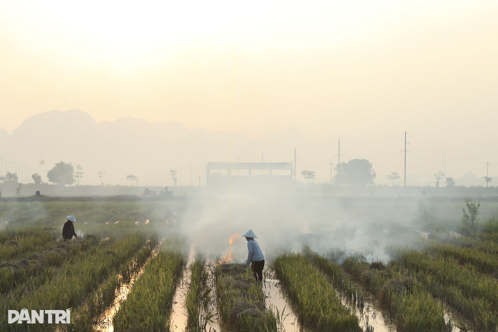 Bức tranh quê tuyệt đẹp vào mùa gặt ở ngoại thành Hà Nội - 11 Bức tranh quê tuyệt đẹp vào mùa gặt ở ngoại thành Hà Nội - 11
