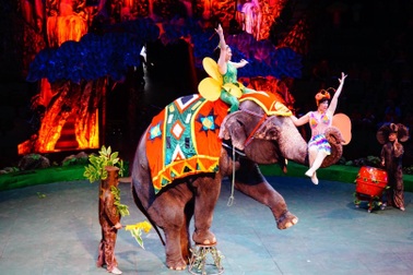 Các “tài năng vàng” của Liên đoàn Xiếc đến TP.HCM, Đà Nẵng biểu diễn