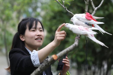 9X kiếm cả 100 triệu/tháng nhờ ý tưởng điên rồ