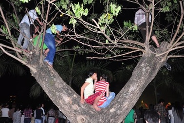 Đủ kiểu thưởng thức pháo hoa “độc”