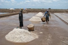 Phó Chủ tịch Bạc Liêu: Xây dựng sản phẩm du lịch trải nghiệm nghề làm muối