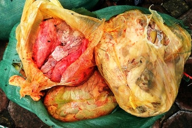 Hàng trăm cân nội tạng, thịt lợn bốc mùi hôi thối chuẩn bị bán ra thị trường