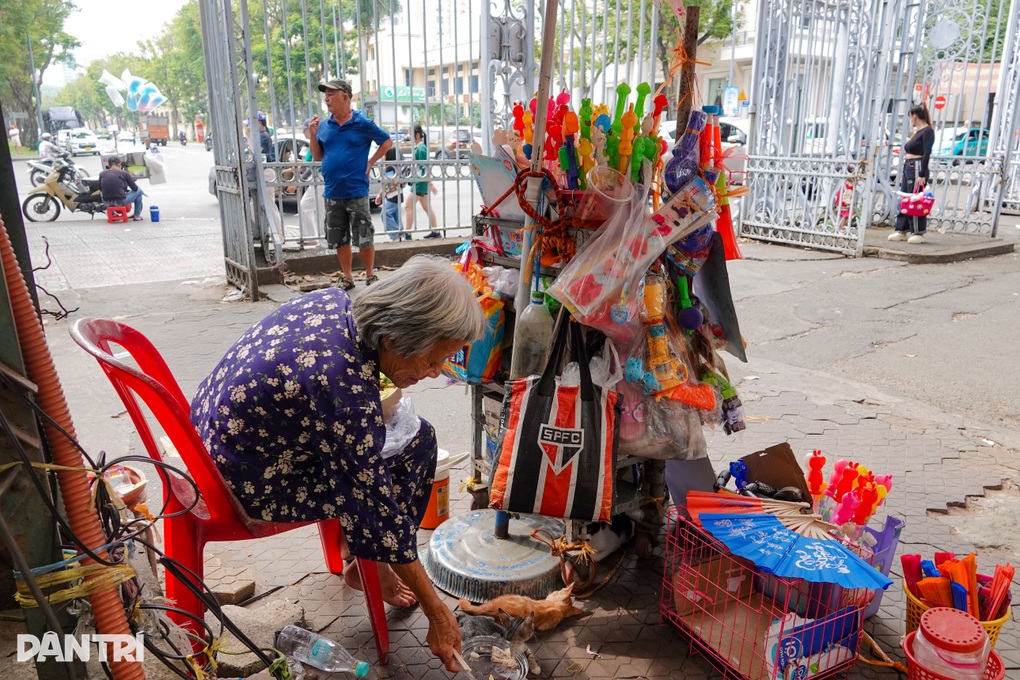 Cụ bà U80 treo biển bán nhà, quyết nhịn ăn nuôi đàn mèo hoang - 5 Cụ bà U80 treo biển bán nhà, quyết nhịn ăn nuôi đàn mèo hoang - 5