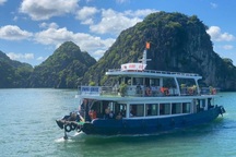 Siêu bão Yagi sắp đổ bộ, hoãn hủy loạt tour du thuyền Quảng Ninh, Hải Phòng