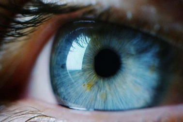 Người phụ nữ khốn khổ vì có… bốn con ong sống trong mắt