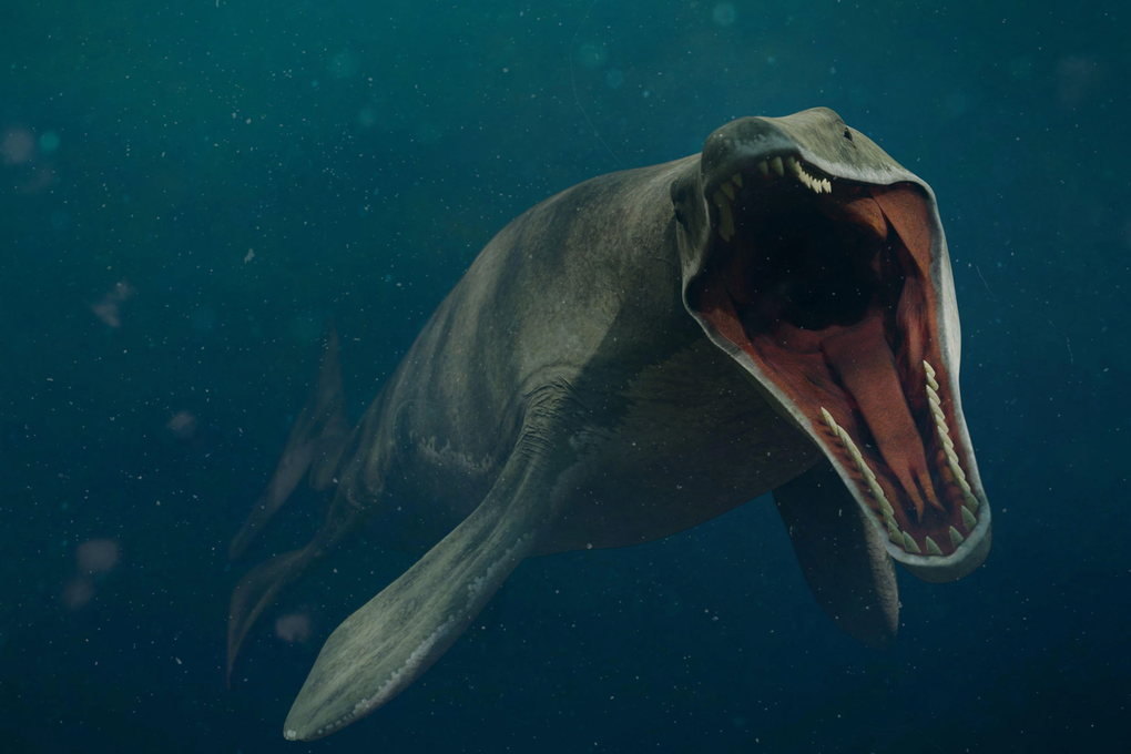 Siêu cá mập Megalodon đối đầu thủy quái Mosasaurus: Loài nào sẽ thắng? - 2 Siêu cá mập Megalodon đối đầu thủy quái Mosasaurus: Loài nào sẽ thắng? - 2
