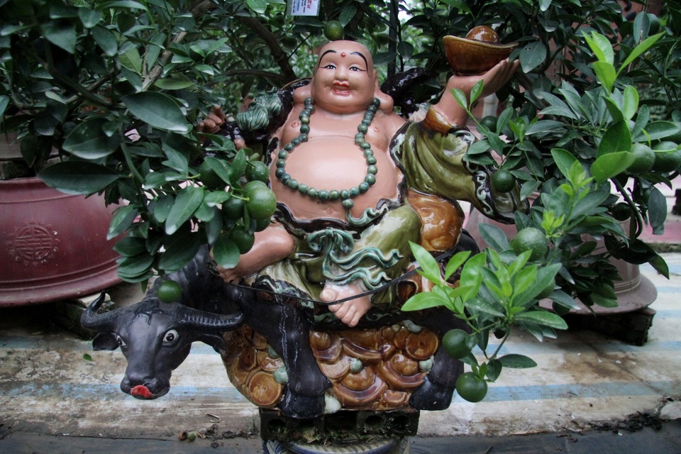 Trâu vàng thảnh thơi cõng quất cảnh giá bạc triệu dịp Tết Tân Sửu 2021 - 11