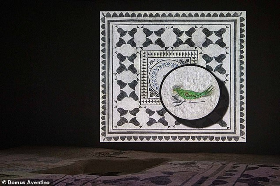 Sửa nhà phát hiện kho báu khổng lồ ẩn mình dưới lòng đất suốt 2.000 năm - 4 Sửa nhà phát hiện kho báu khổng lồ ẩn mình dưới lòng đất suốt 2.000 năm - 4