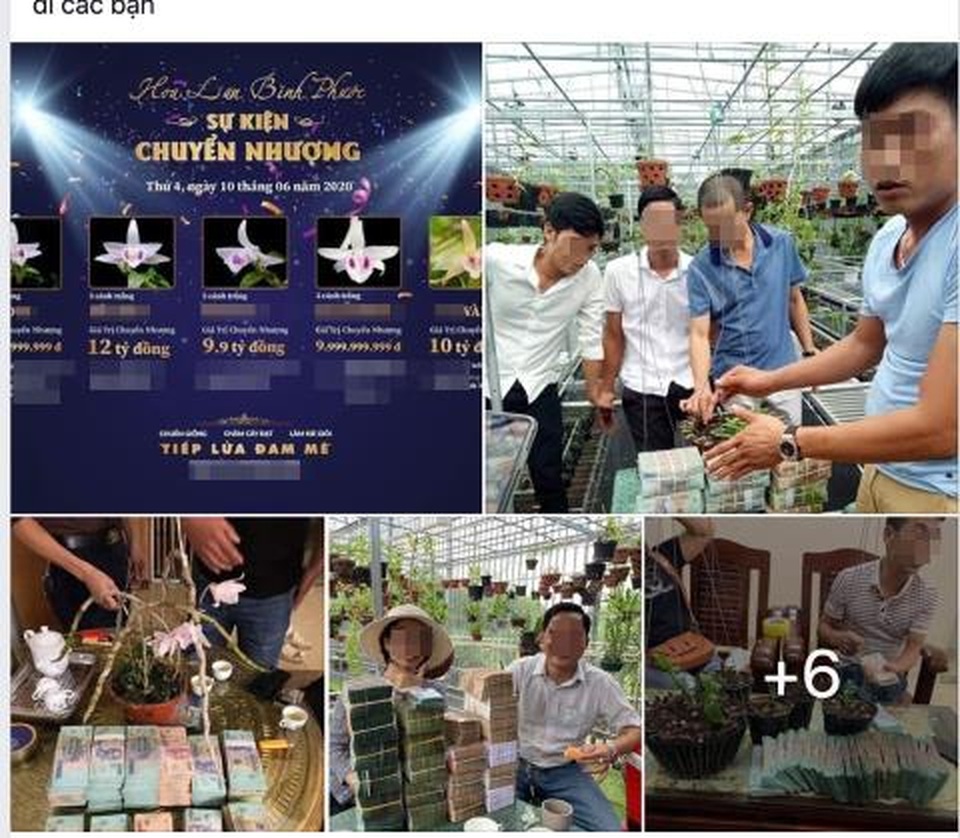 Trái đắng Phi điệp đột biến: Trăm tỷ chảy về Trung Quốc? - 2 Trái đắng Phi điệp đột biến: Trăm tỷ chảy về Trung Quốc? - 2