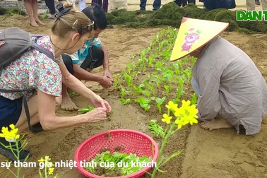 Lễ cầu bông ở làng rau Trà Quế hơn 500 năm tuổi