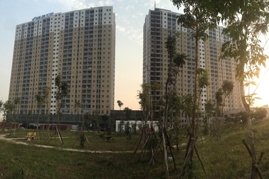 Mua nhà dịp Tết: “Vừa nhận nhà mà vẫn có quà”