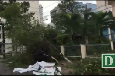 Nha Trang tan hoang sau thời điểm bão "con voi" đi qua