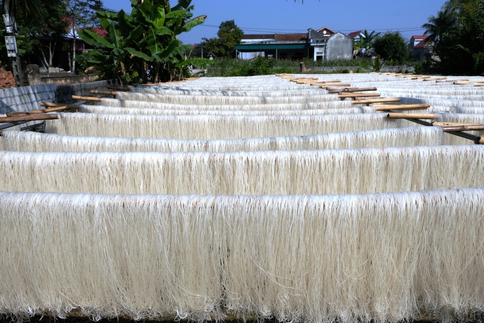Về làng làm miến xứ Thanh ngày giáp Tết nguyên đán - 4 Về làng làm miến xứ Thanh ngày giáp Tết nguyên đán - 4
